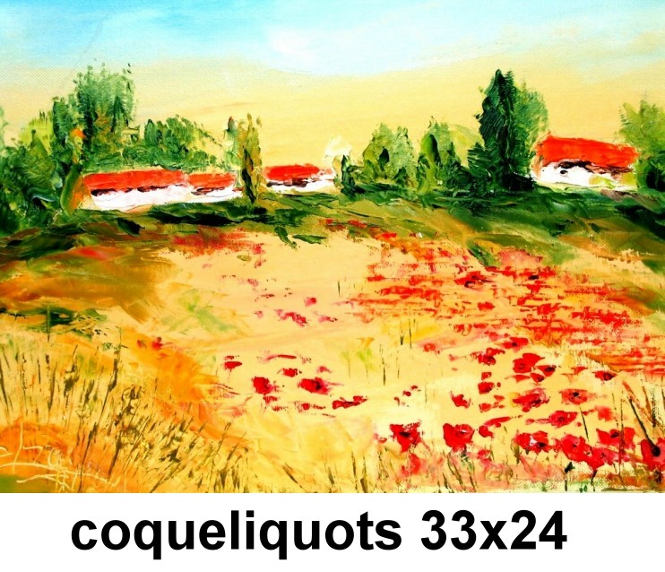 Village aux coquelicots 4F